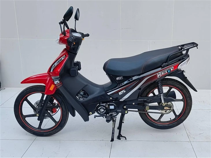 Gas Motor Bike factory